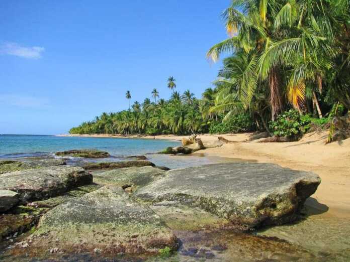 Yolg'onchi Kosta -Rika oroli….