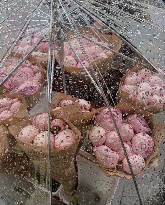 Dunyodagi eng yomg'irli shahar