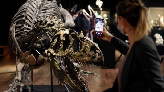 Parijdagi kimoshdi savdosida dinozavr skeleti sotuvga qo'yildi