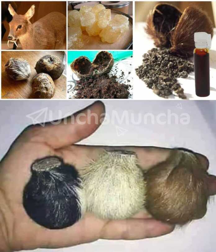 O'zini ishlatasiz, ammo qaerdan paydo bo'lishini bilmaysiz?