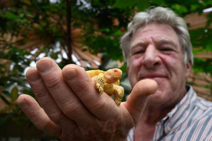 Dunyo g'aroyibotlariga guvoh bo'ling Dunyo g'aroyibotlariga guvoh bo'ling