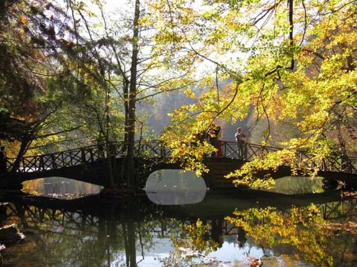 Sayr ishtiyoqmandimisiz? Unda ko'rkam Yedigo'ller milliy bog'ini ko'rishingiz shart!