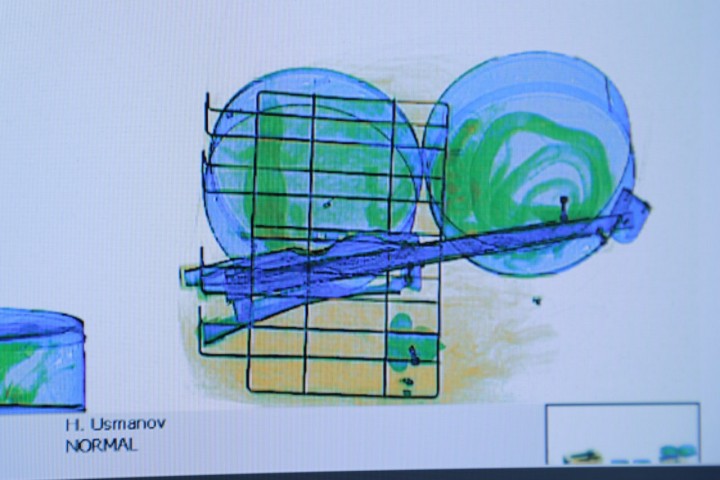 Toshkent xalqaro aeroportida Misrdan uchib kelgan yo'lovchi timsoh bolasi, 3 bosh iguana hamda 3 bosh ilonni noqonuniy olib kirishga urindi
