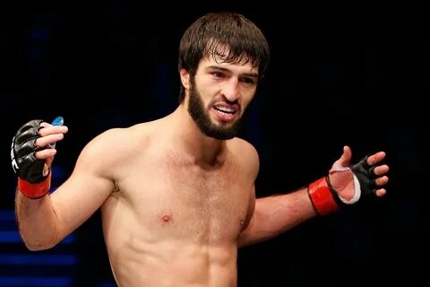 Zubayraning UFC 284-dagi raqibi o'zgardi