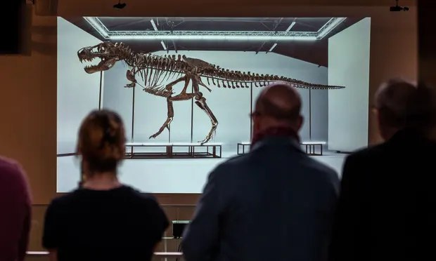 Shveysariyada dinozavr skeleti kimoshdi savdosiga qo'yildi