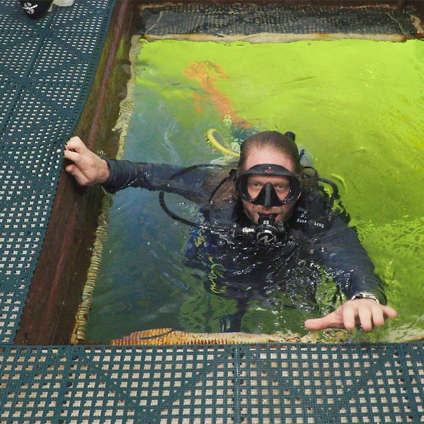 Amerikalik olim suv ostida eng uzoq vaqt qolish bo'yicha jahon rekordini yangiladi