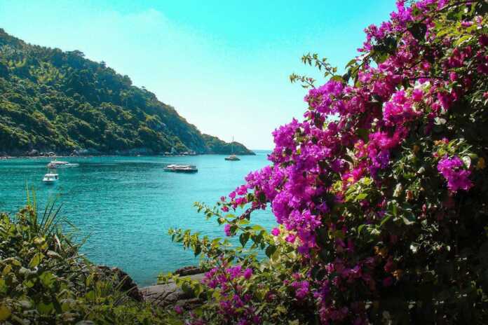 Bodrum quyoshi ostida Bodrum quyoshi ostida