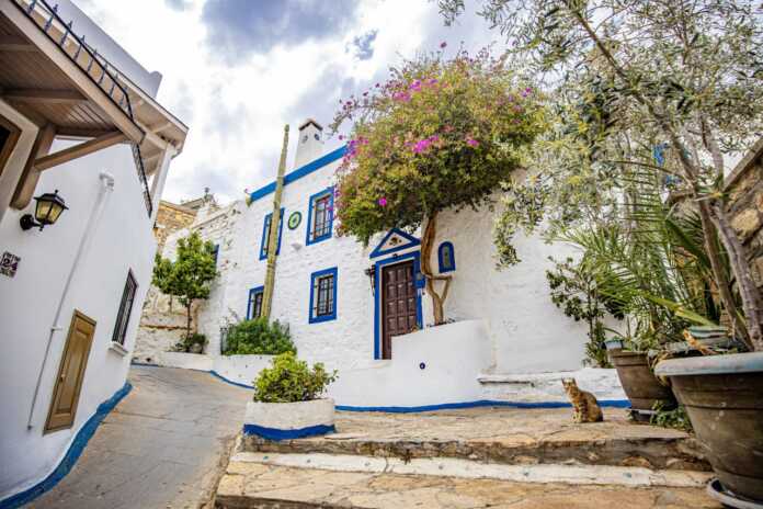 Egey va O'rta Yer dengizi sohillaridagi eng yaxshi kurort hududlar Bodrumda kesishadi