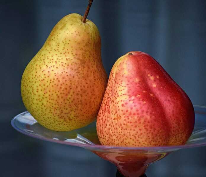 Nok ozishga yordam beradi