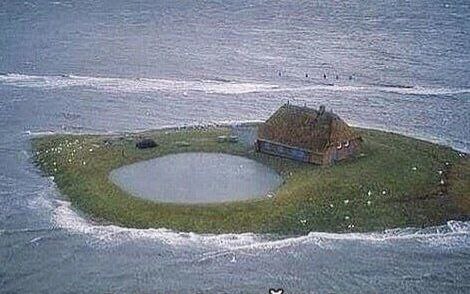 Bitta dacham bor edi. Shuni sotmoqchi bo'lib turibman. Ha, oldida basseyni ham bor…