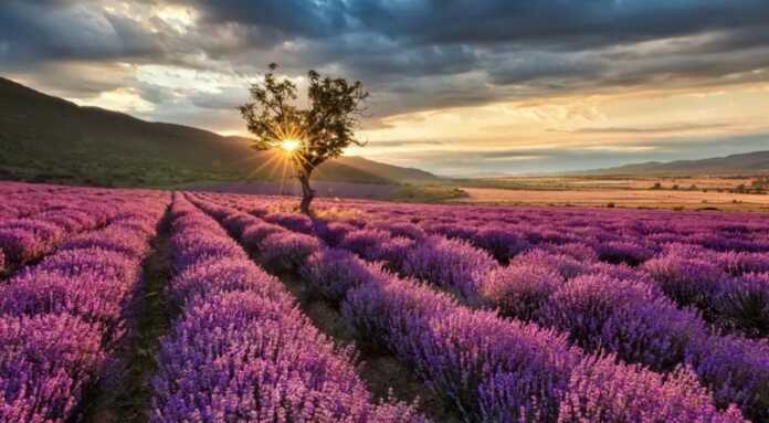 KO'HNA TARIXI, SALDA KO'LI VA LAVANDA DALALARI BILAN MAShHUR – BURDUR