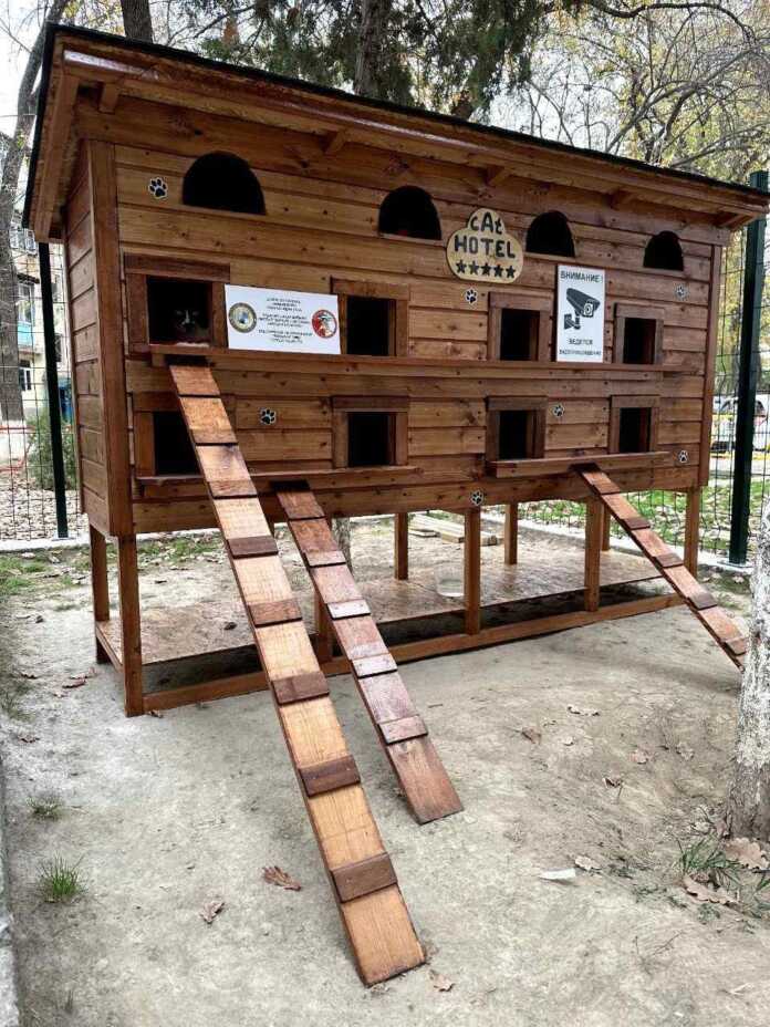 Toshkentda mushuklar uchun mehmonxona ochildi