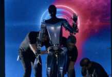 Ana bo'lmasa! Rimda itlar uchun restoran ochildi