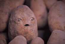 Aytdim-ku, juhudda o'pkayam, yurak ham yo'q deb!..