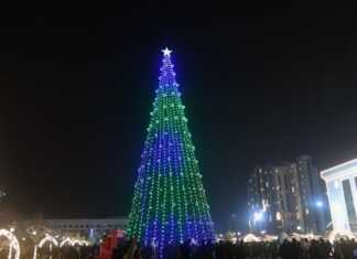 Bo'ron paytida ham harakatlana oladigan avtojir ixtiro qilindi