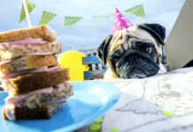 Dubayda garovga ushlab turilgan vatandoshimiz qutqarildi