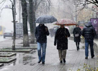 Farrosh belkurak va supurgi bilan qorga chizgan rasmlar Rossiyada shov-shuv bo'ldi