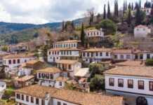 Kartoshka sabzavotlar qatoridan chiqishi mumkin