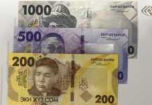 Kartoshka sabzavotlar qatoridan chiqishi mumkin