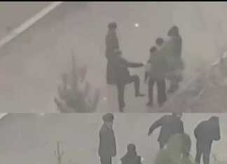 Kartoshka sabzavotlar qatoridan chiqishi mumkin