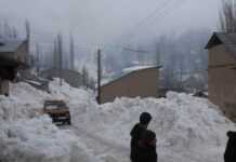 Nihoyat Alisher Usmonovning merosxo'ri kim bo'lishi aniq bo'ldi