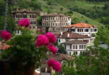 Robot Tesla zavodida ishlayotgan muhandisga hujum qildi 