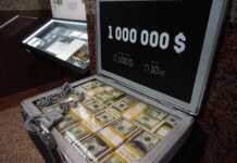 Turkiyaning an'anaviy zaytun yetishtirish sanoati YuNESKO ro'yxatiga kiritildi