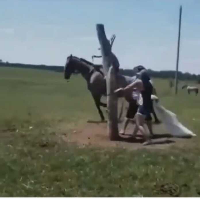 Erkakning zo'ri (video)