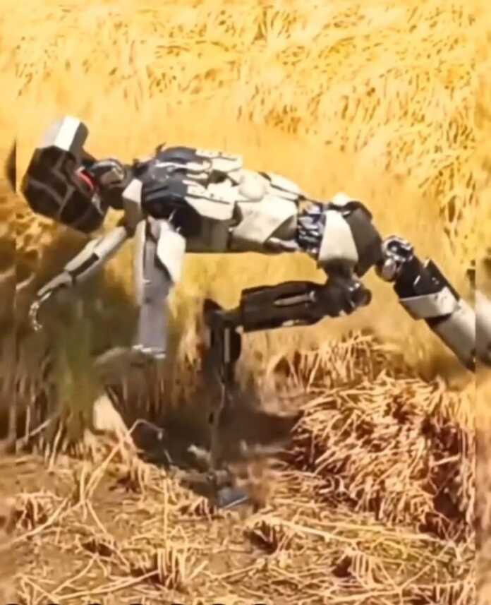 Hamma yoqni egallab olishyapti. Yaqinda Yer bizniki deb quvib yuborishmasaydi…(video)