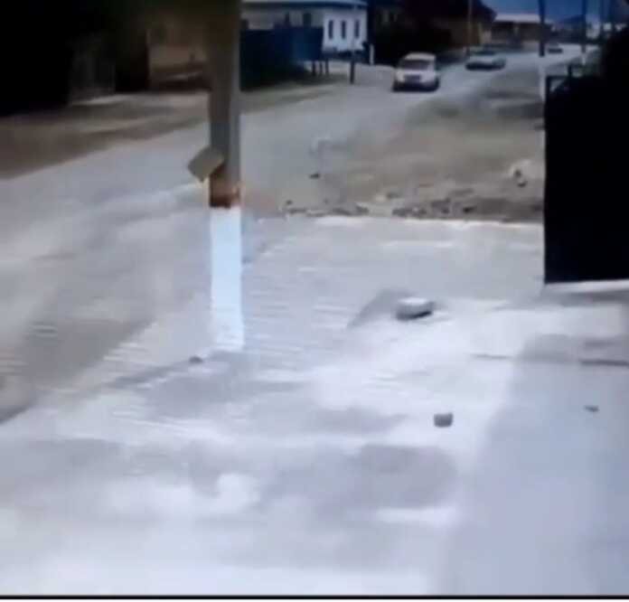 Mana senga olam-olam gul…(Video)