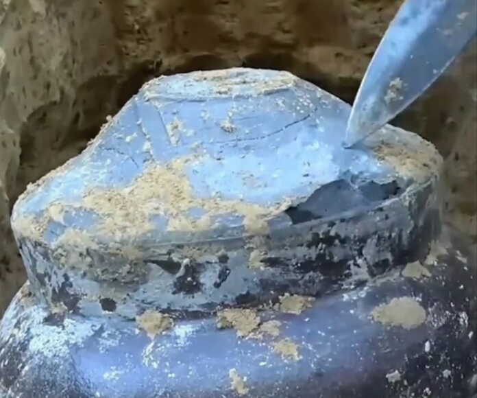 “Topib olaman!” (Video)