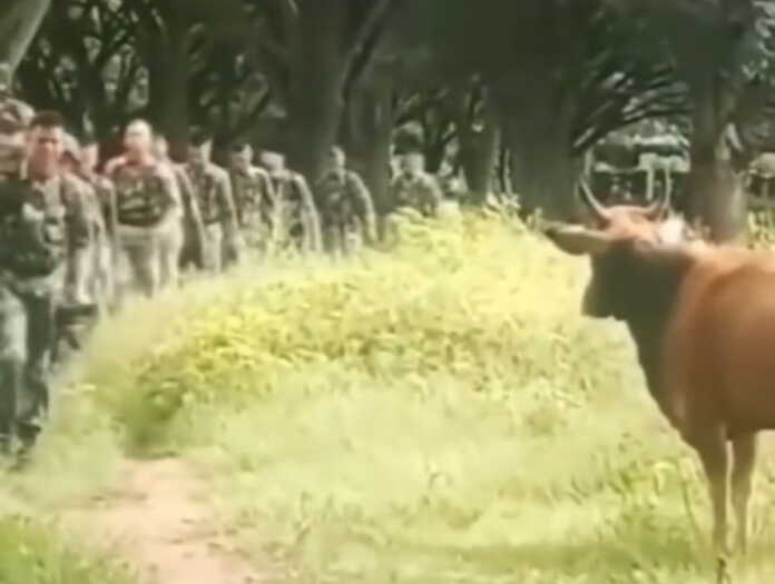 Agar shular bilan jangga borsang, tamomsan… (video)