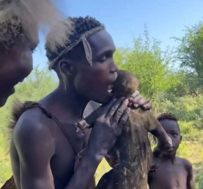 Bularning yirtqich hayvondan nima farqi bor?.. (Video)