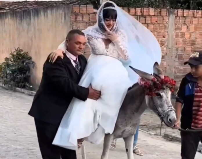 “Kerak bo'lsa-chi, original…” (video)