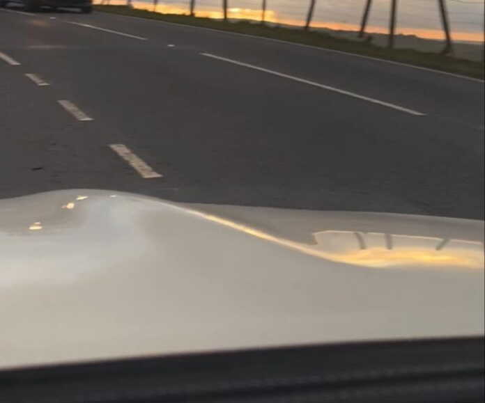 Rohatlaning, maza qiling! (Video)