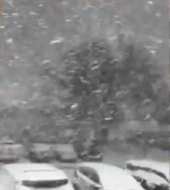 Saudiya Arabistonida dahshatli qor… (video)