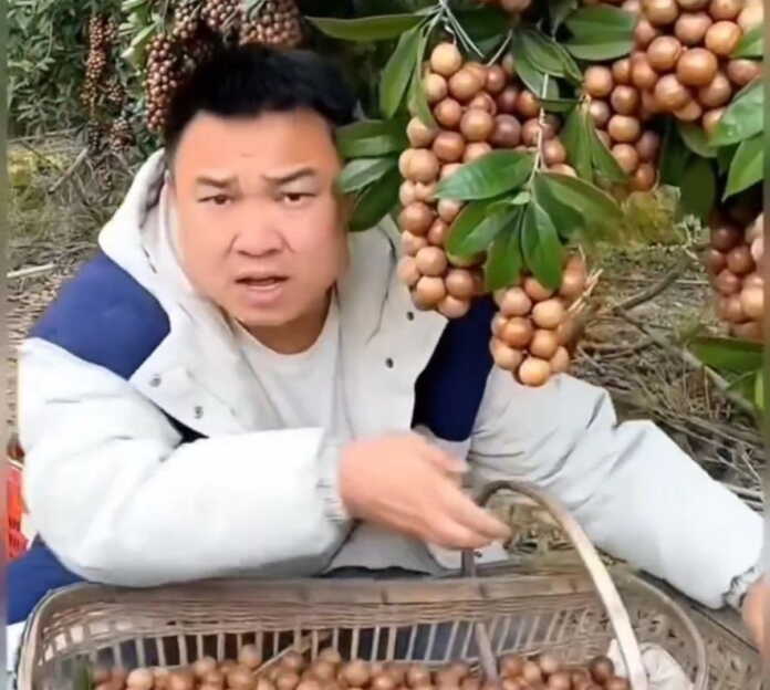 Siz shularga ishonasizmi? (Video)