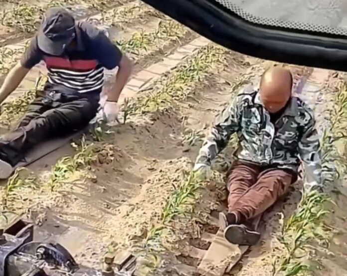 «Tekis… Maza… Bunaqa sharoitda men ham rohatlanib ishlagan bo'lardim…» (Video)