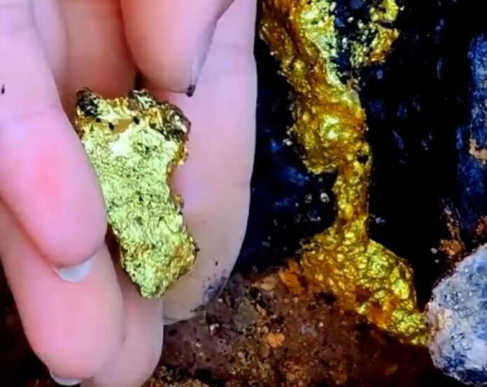 Top-tozasi. Asili… (Video)