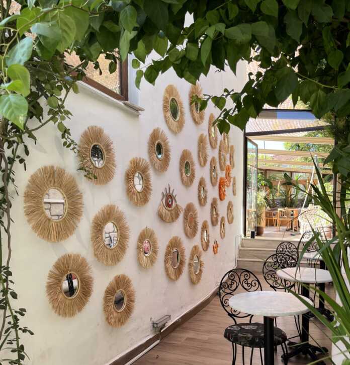 Turkiyaning oshpazlik markazi Urlani kashf qilish uchun 5 ta sabab