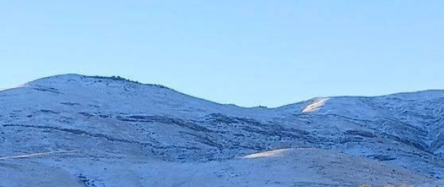 O‘zbekistonda birinchi qor yog‘di (fotoreportaj) O‘zbekistonda birinchi qor yog‘di (fotoreportaj)6