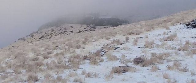 O‘zbekistonda birinchi qor yog‘di (fotoreportaj) O‘zbekistonda birinchi qor yog‘di (fotoreportaj)8