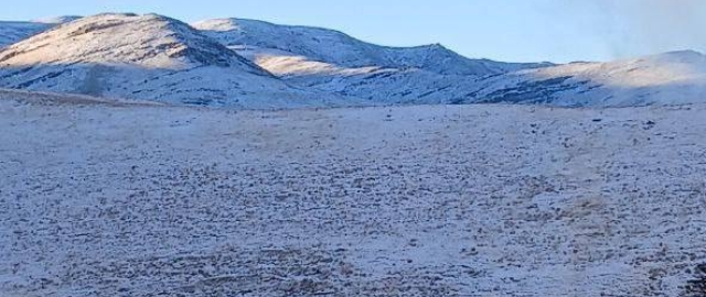 O‘zbekistonda birinchi qor yog‘di (fotoreportaj) O‘zbekistonda birinchi qor yog‘di (fotoreportaj)9