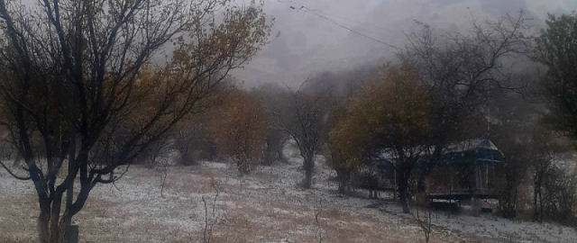 O‘zbekistonda birinchi qor yog‘di (fotoreportaj) O‘zbekistonda birinchi qor yog‘di (fotoreportaj)4