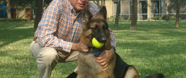 Hindistonlik millioner boyligini itiga meros qoldirdi1