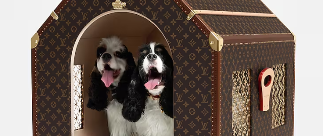 Louis Vuitton itlar uchun 60 ming yevrolik uy sotuvga chiqardi Louis Vuitton itlar uchun 60 ming yevrolik uy sotuvga chiqardi1