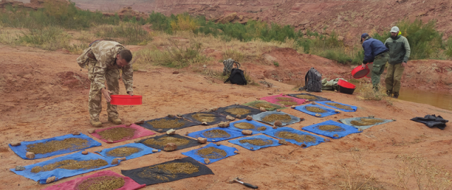 O‘zbekistonga yaqin joydan 85 mln yillik dinozavr qoldiqlari topildi O‘zbekistonga yaqin joydan 85 mln yillik dinozavr qoldiqlari topildi2