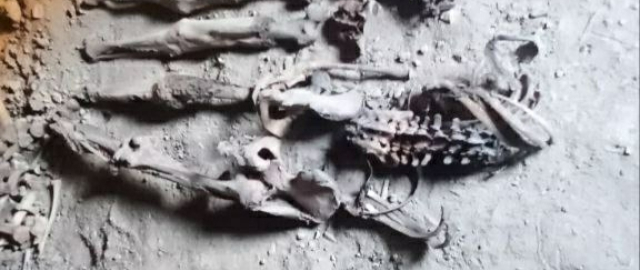 Tojikistonda ilk bor 25 dan ortiq mumiyolangan jasad topildi3