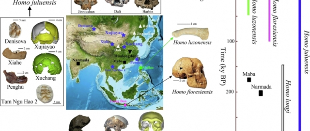 Xitoyda qadimiy odamlarning yangi turi topildi1