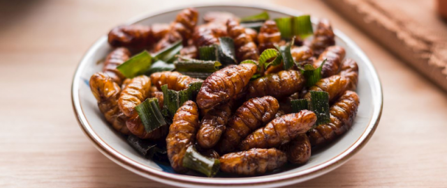 Shakarob dunyodagi eng yomon taomlar yuzligiga kiritildi2